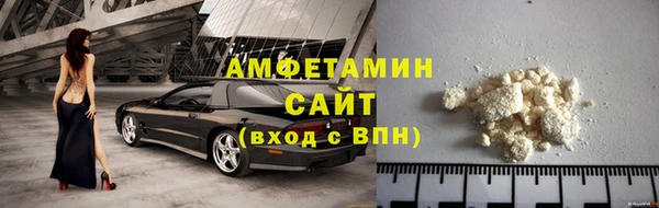 крисы Козельск