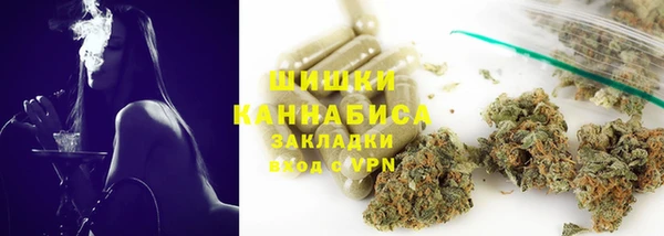 крисы Козельск
