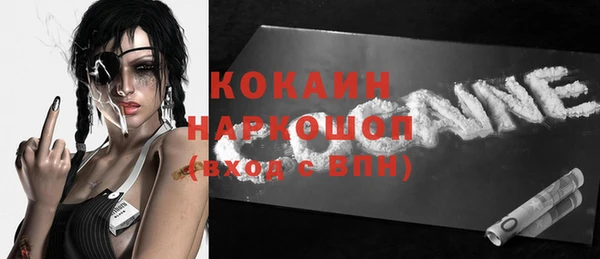 крисы Козельск