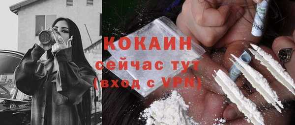 крисы Козельск