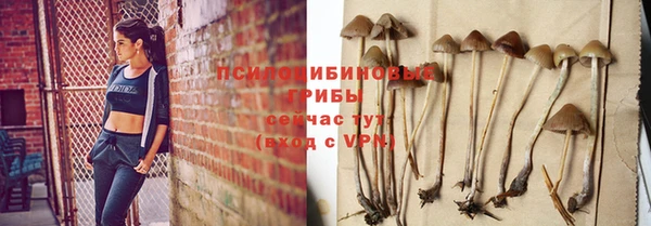 экстази Козловка
