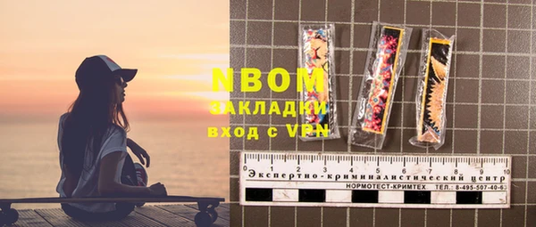 крисы Козельск
