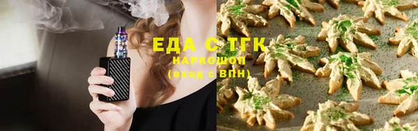 крисы Козельск