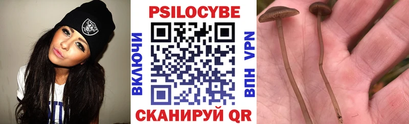 где можно купить   Катайск  Галлюциногенные грибы Magic Shrooms 