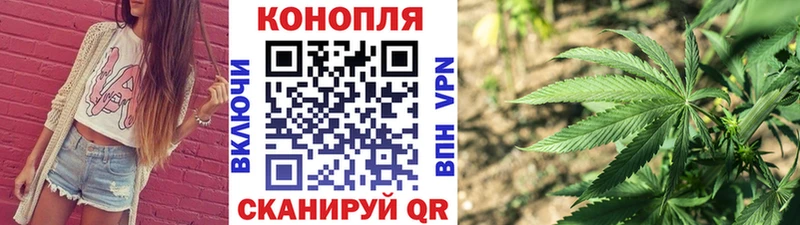 Каннабис Amnesia Катайск